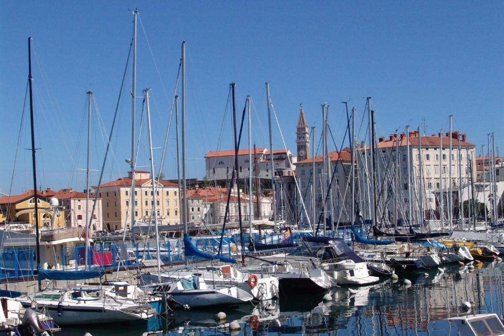 Apartments Pirano Esterno foto