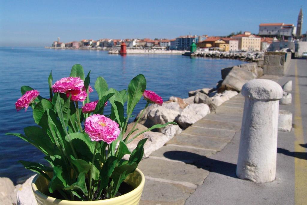 Apartments Pirano Esterno foto